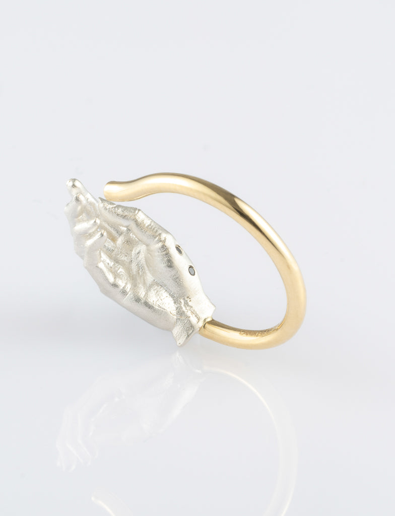 Cycle Ring