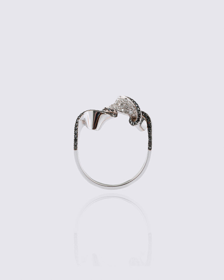 Theta+ Ring