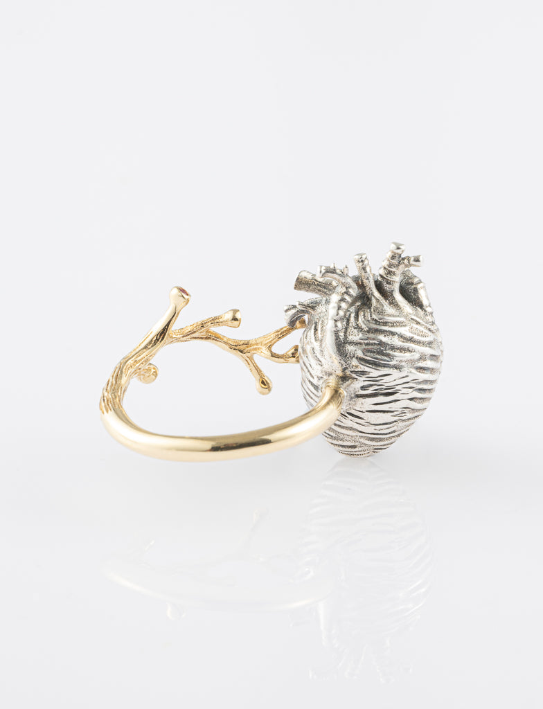 Descent Ring