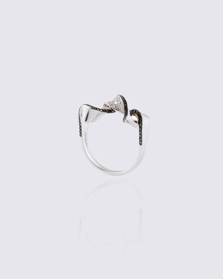 Theta+ Ring