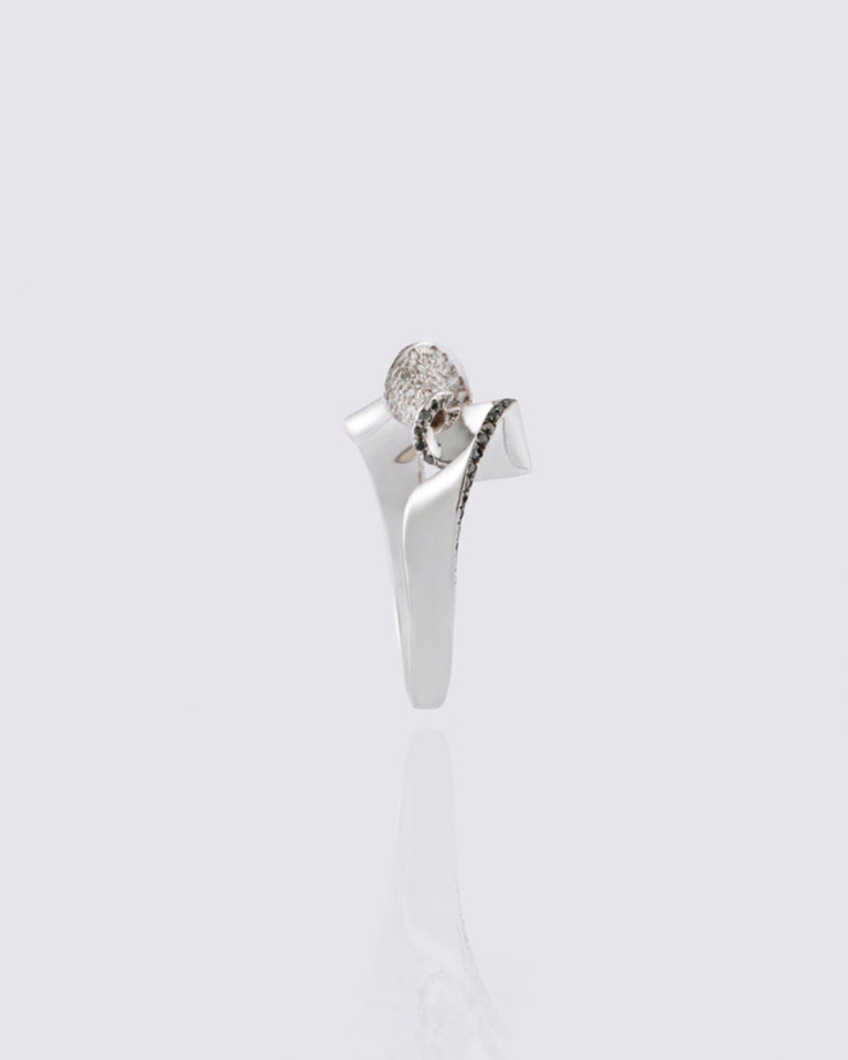 Theta+ Ring